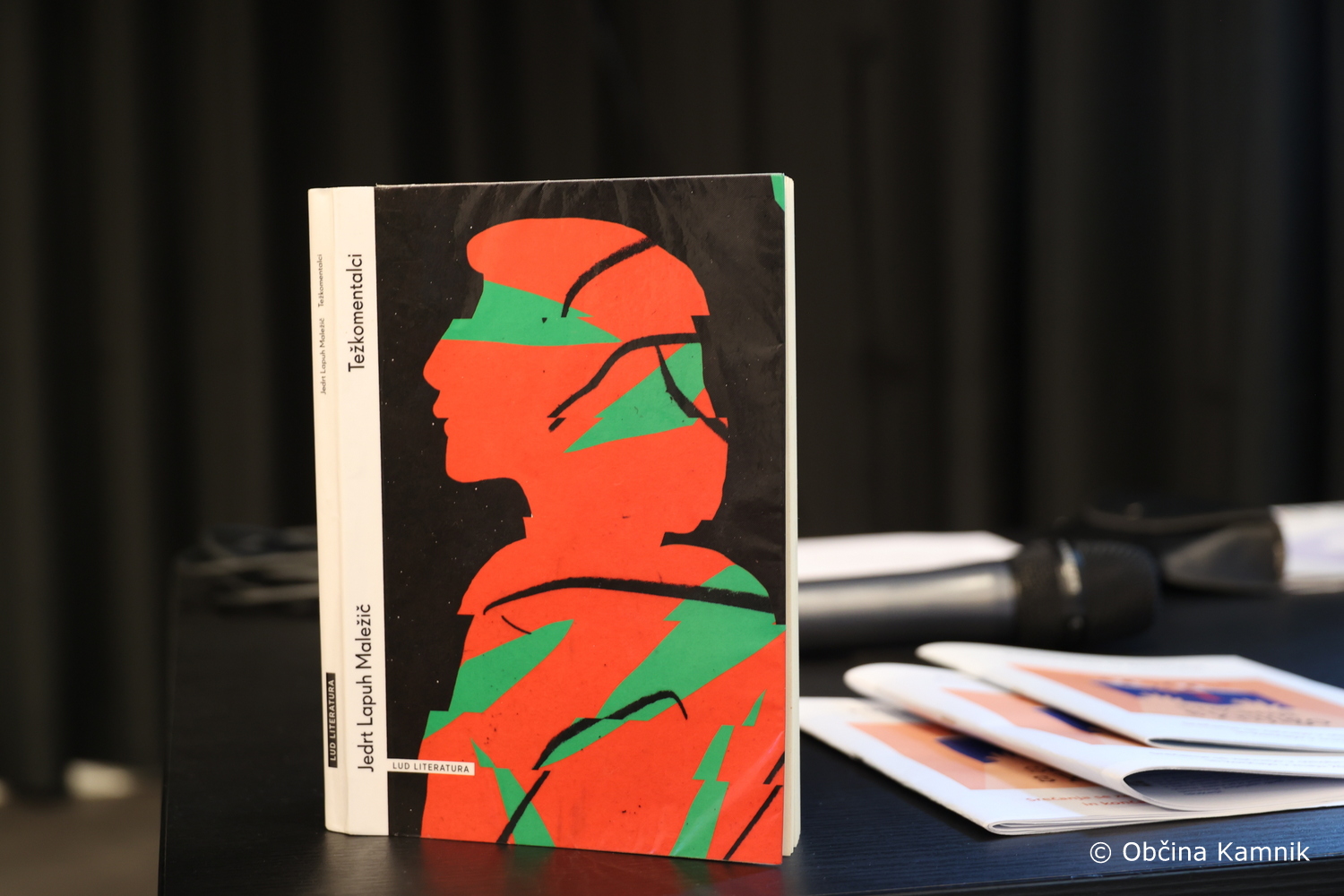 Svetovni dan duševnega zdravja v Kamniku (9)